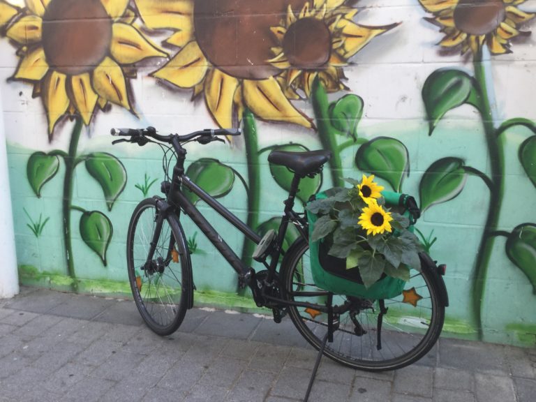 ausreichende Fahrradabstellanlagen an Schulen im Hochtaunuskreis