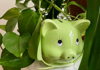 GRÜNE Kreistagsfraktion lehnt Doppelhaushalt des Landrats für 2026/2027 ab